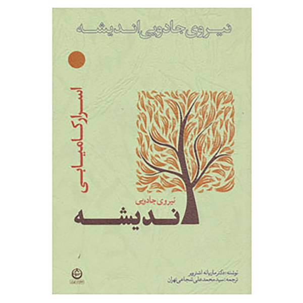 کتاب نیروی جادویی اندیشه اثر ماریانه اشترویر