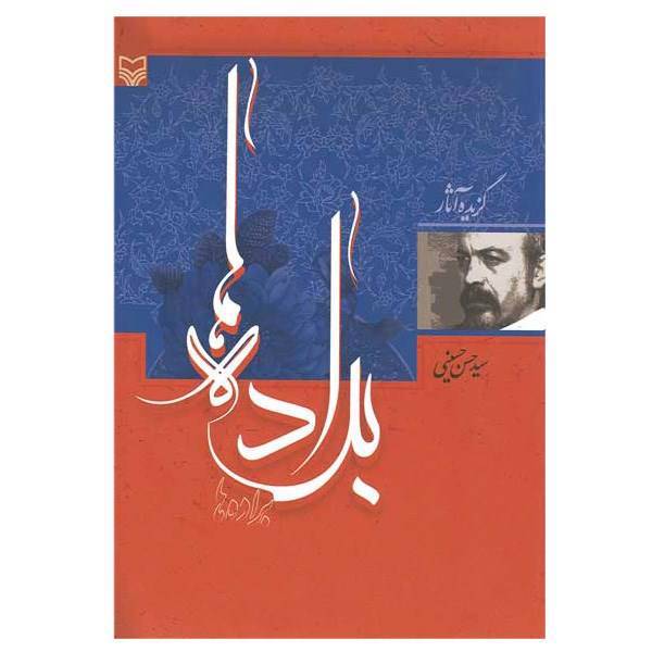 کتاب براده ها اثر سید حسن حسینی