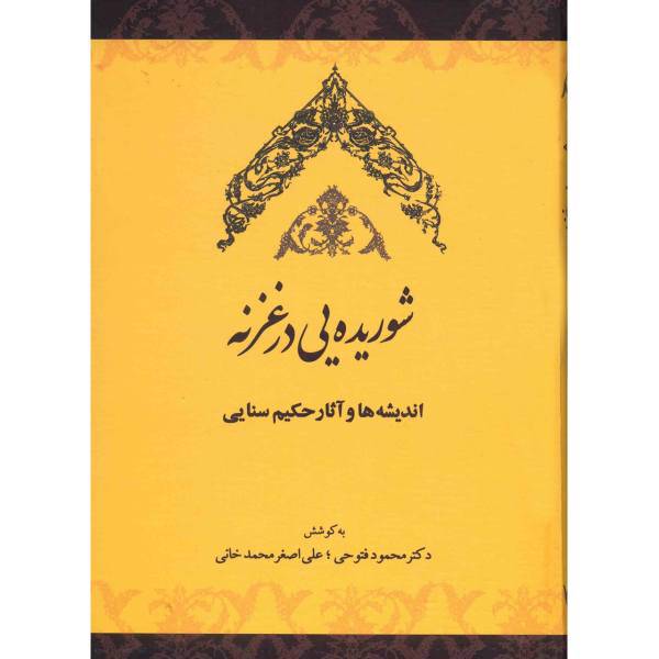 کتاب شوریده یی در غزنه اثر علی اصغر محمدخانی
