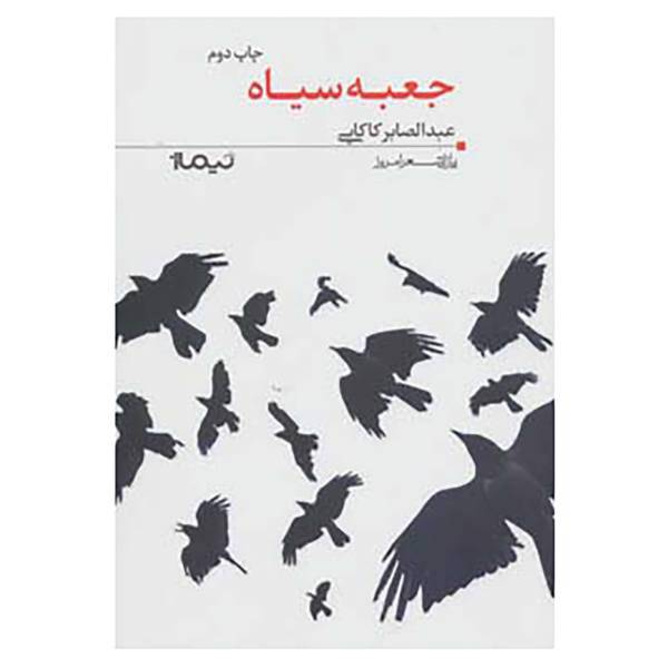کتاب پازل شعر امروز24 اثر عبدالصابر کاکایی