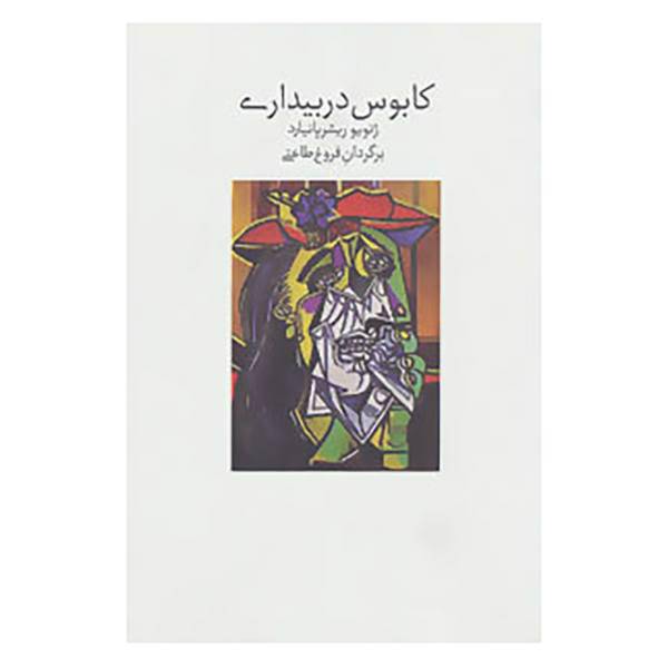 کتاب کابوس در بیداری اثر ژنویو ریشر پانیارد