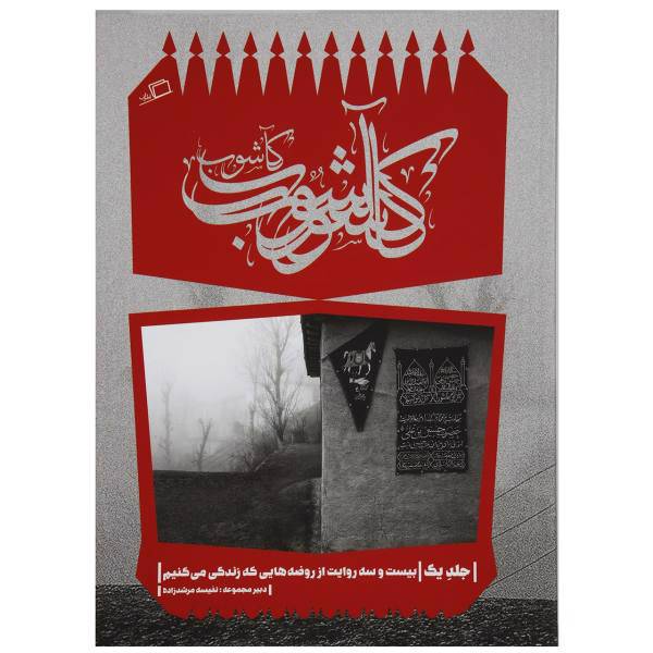 کتاب کاشوب 1 اثر حامد آقاجانی