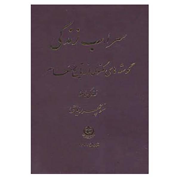 کتاب سراب زندگی اثر منوچهر ریاحی