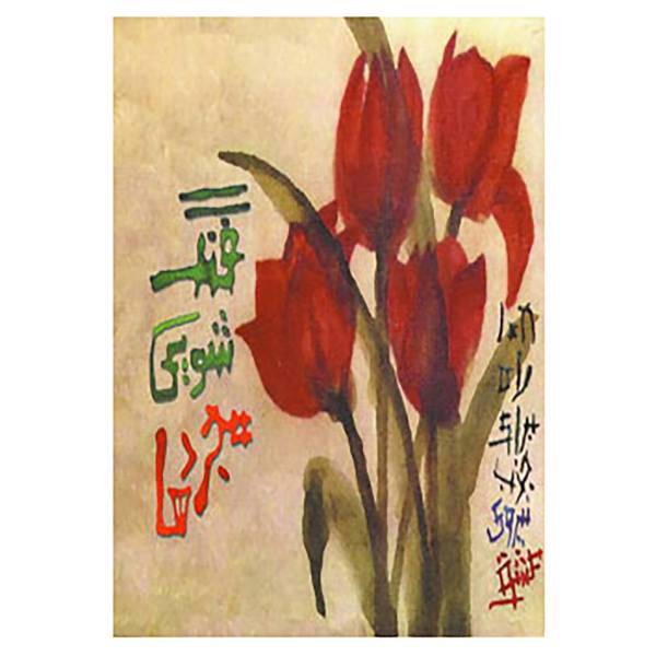 کتاب فنگ شویی مجردها اثر استفانی رابرتس