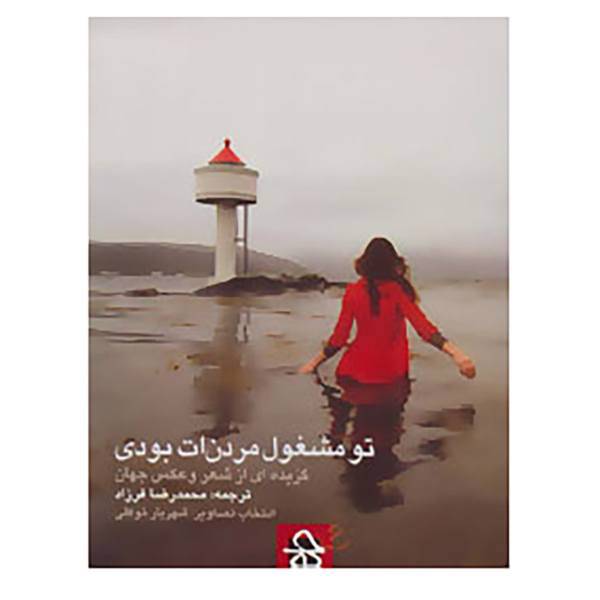 کتاب گزیده ای از شعر و عکس جهان اثر بروس دیویدسون و دیگران