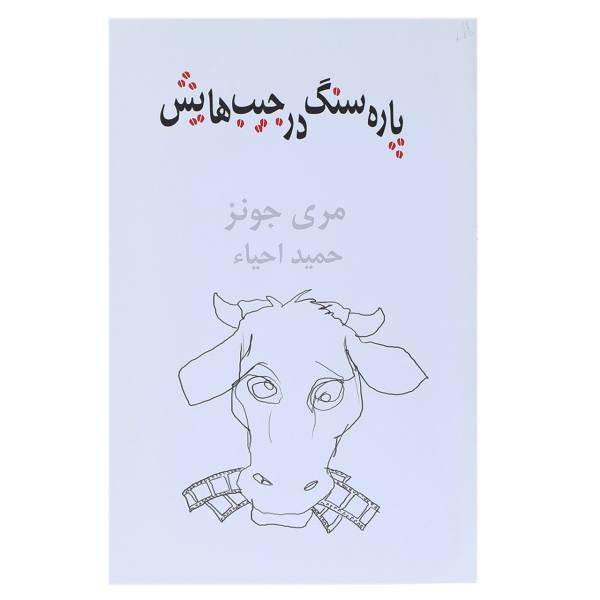 کتاب پاره سنگ در جیب‌ هایش اثر مری جونز