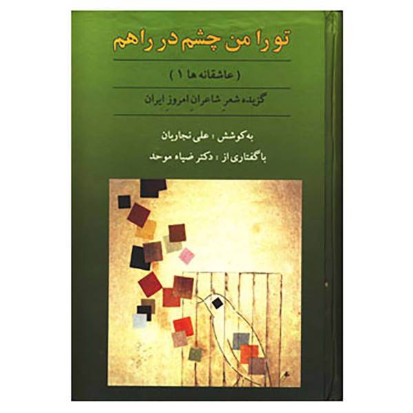 کتاب تو را من چشم در راهم اثر علی نجاریان