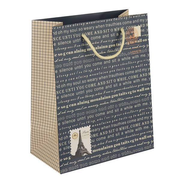 پاکت هدیه عمودی طرح پاریس - سایز بزرگ، Paris Design Vertical Gift Bag - Large Size