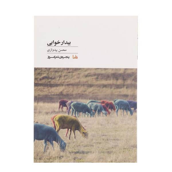 کتاب بیدار‌ خوابی اثر محسن بیدوازی