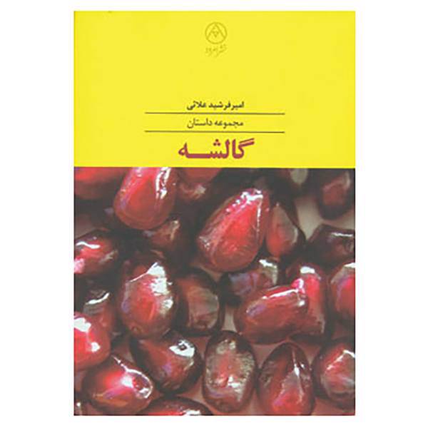 کتاب گالشه اثر امیرفرشید علائی