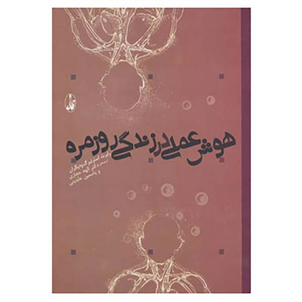 کتاب هوش عملی در زندگی روزمره اثر رابرت استرنبگ و دیگران
