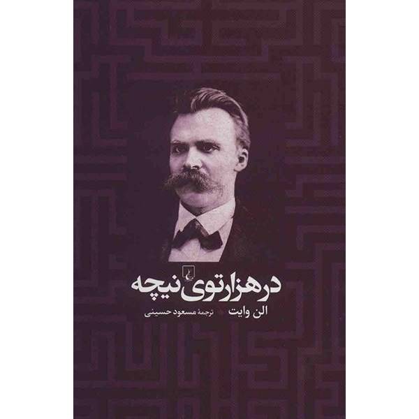 کتاب در هزارتوی نیچه اثر الن وایت، Within Nietzsches Labyrinth