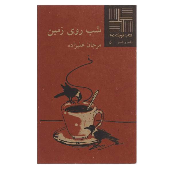 کتاب شب روی زمین اثر مرجان‌ علیزاده