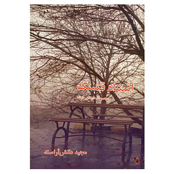 کتاب اشتباه قشنگ اثر مجید دانش آراسته