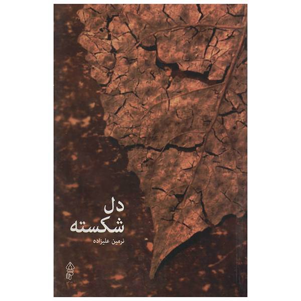 کتاب دل شکسته اثر نرمین علیزاده