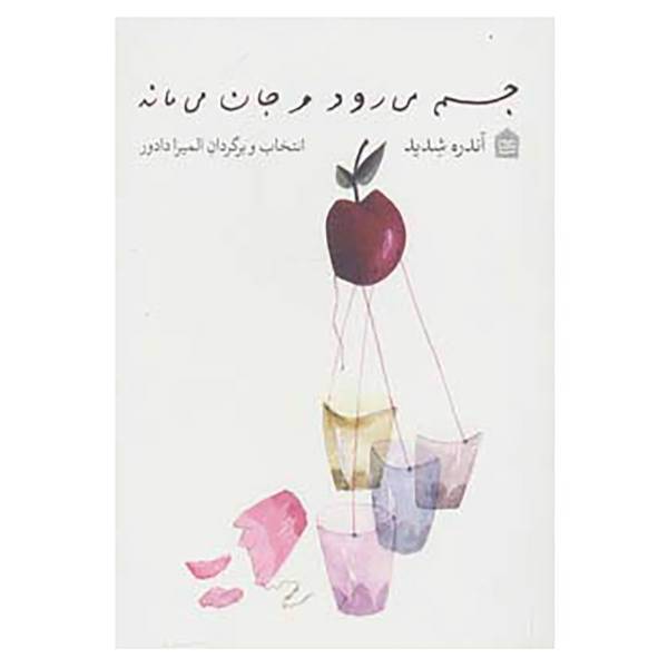 کتاب جسم می رود و جان می ماند اثر آندره شدید