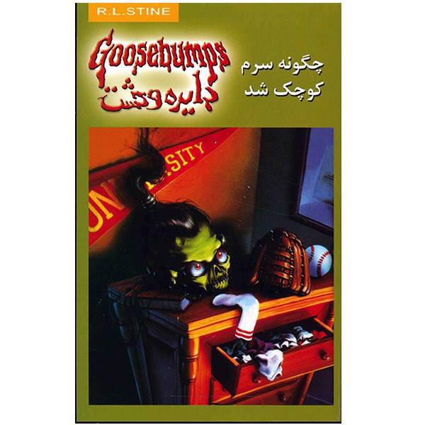 کتاب چگونه سرم کوچک شد (دایره وحشت 19) اثر آر. ال. استاین، How I Got My Shrunken Head