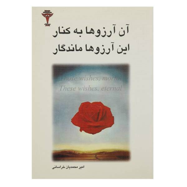 کتاب آن آرزوها به کنار این آرزوها ماندگار اثر امیر محمدیان خراسانی