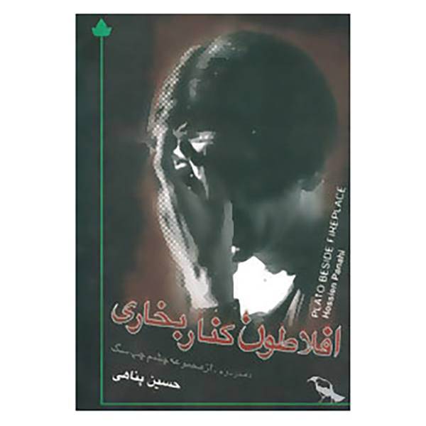 کتاب افلاطون کنار بخاری اثر حسین پناهی