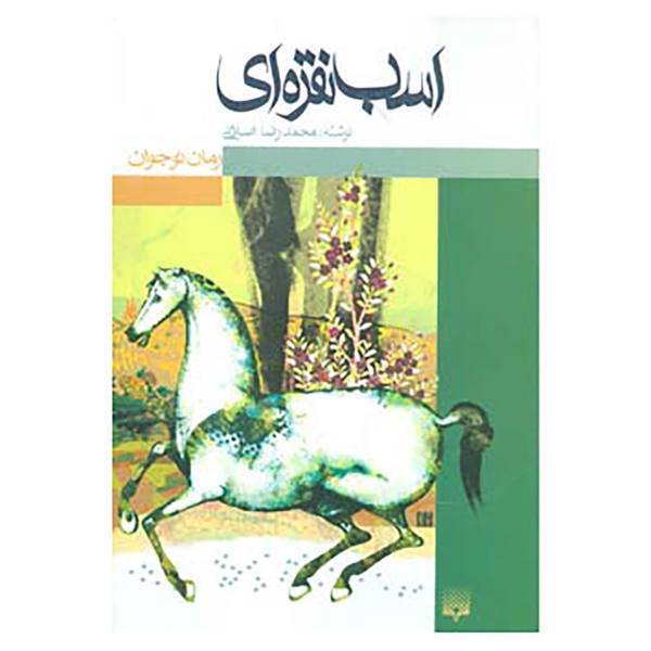 کتاب رمان نوجوان اثر محمدرضا اصلانی