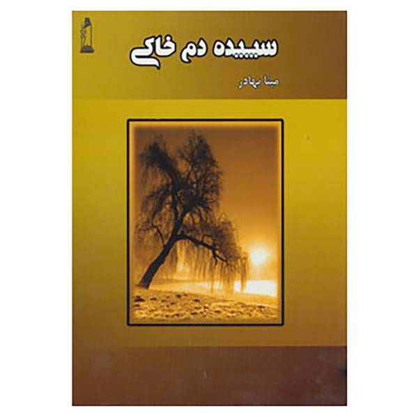کتاب سپیده دم خاکی اثر مینا بهادر