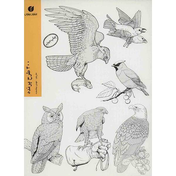 کتاب 400 طرح پرنده، Bird Illustrations