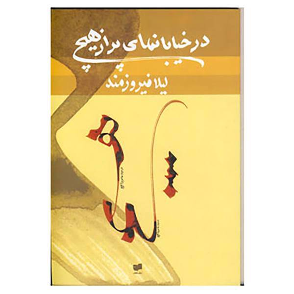 کتاب در خیابان های پر از هیچ اثر لیلا فیروزمند