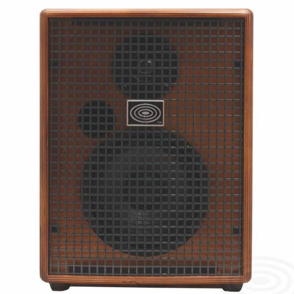 آمپلی فایر شرتلر مدل Jam 100، Schertler Jam 100 Guitar Amplifier