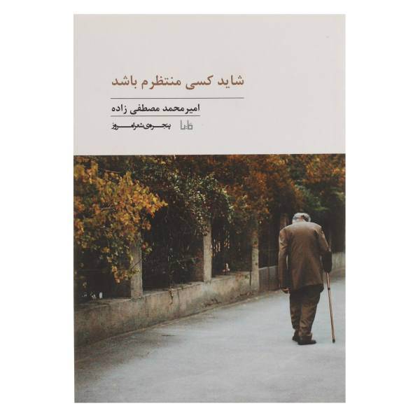 کتاب شاید کسی منتظرم‌ باشد اثر امیر محمد مصطفی زاده