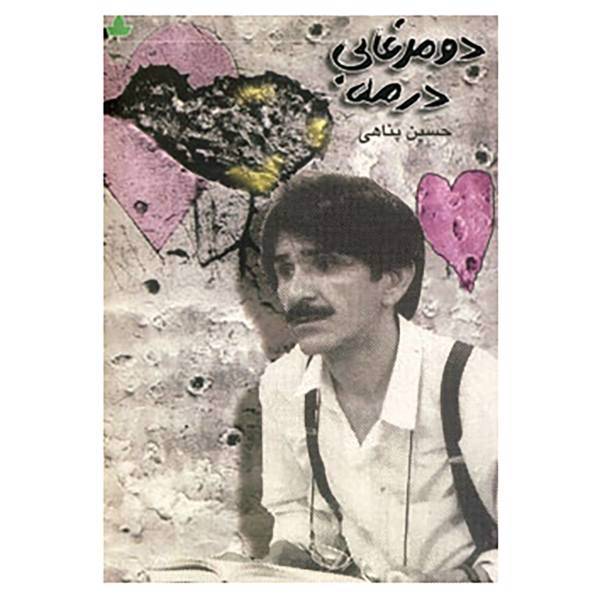 کتاب دو مرغابی در مه اثر حسین پناهی