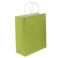 پاکت هدیه‌ عمودی طرح ساده سایز بزرگ Simple Design Vertical Gift Bag Large Size