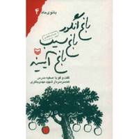 کتاب باغ انگور، باغ سیب، باغ آیینه اثر صفیه مدرس