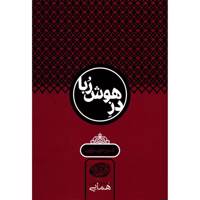 کتاب دز هوش ربا اثر جلال الدین همایی