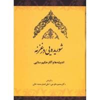 کتاب شوریده یی در غزنه اثر علی اصغر محمدخانی