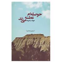 کتاب حوصله ام عطسه می زند اثر جواد راه پیما