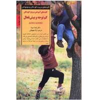 کتاب کلیدهای آموختن درباره کودکان کم توجه و بیش فعال اثر لیندا سونا The Everything Parent Guide to Children