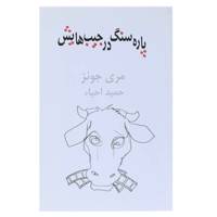 کتاب پاره سنگ در جیب‌ هایش اثر مری جونز