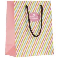 پاکت هدیه عمودی طرح راه راه رنگی Colorful Striped Vertical Gift Bag