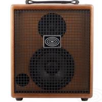 آمپلی فایر شرتلر مدل David Classic - Schertler David Classic Guitar Amplifier