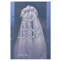 کتاب دخترانی که روی بخار شیشه نقشی از عروس می کشند اثر مارال جوشن