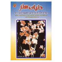 کتاب دنیای هنر گلسازی،گل بلندر،گل چینی،شخصیت های کارتونی اثر شیدا غلامی
