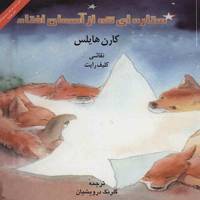 کتاب ستاره ای که از آسمان افتاد اثر کارن هایلس