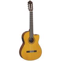 گیتار کلاسیک یاماها مدل CGX122MCC Yamaha CGX122MCC Classical Guitar