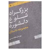 کتاب بزرگراه شلوغ دلشوره اثر پویان مقدسی