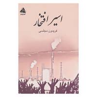 کتاب اسیر افتخار اثر فریدون مجلسی