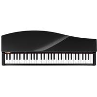 پیانوی دیجیتال کرگ مدل Micro Korg Micro Piano