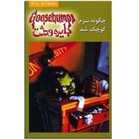 کتاب چگونه سرم کوچک شد (دایره وحشت 19) اثر آر. ال. استاین - How I Got My Shrunken Head