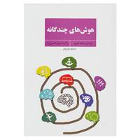 کتاب هوش های چندگانه اثر مایک فلیتهم