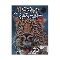 مجله حیوانات شگفت انگیز - شماره 11 Amazing Animals Magazine - No 11