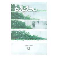 کتاب چار پاره اثر اکبر میرجعفری